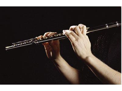 招聘葫芦岛长笛家教老师