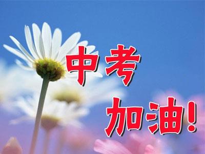 葫芦岛九年级家教哪里找？